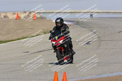 media/Feb-10-2023-TrackDaz (Fri) [[827c11d241]]/C Group/1245pm (Outside Grapevine)/